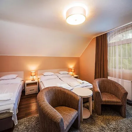 Tokajer Wellness Panzió Hotel 3*