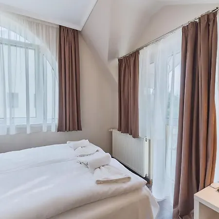 מלון Tokajer Wellness Panzio 3*