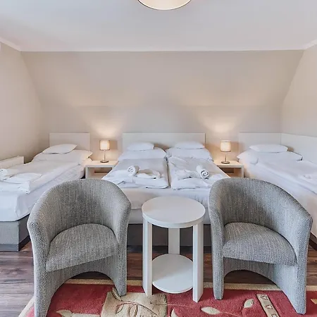 Tokajer Wellness Panzio מלון 3*