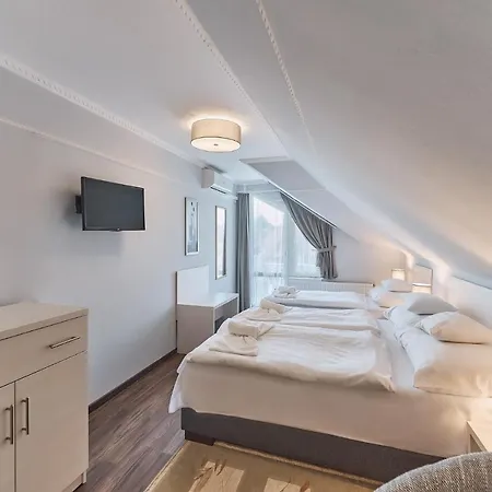 מלון Tokajer Wellness Panzio 3*