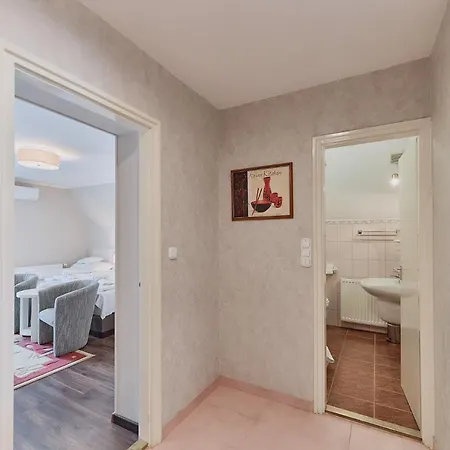 Tokajer Wellness Panzio 3*