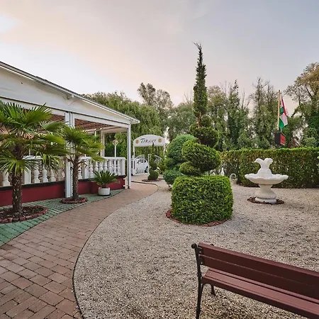 Tokajer Wellness Panzió Hotel 3*