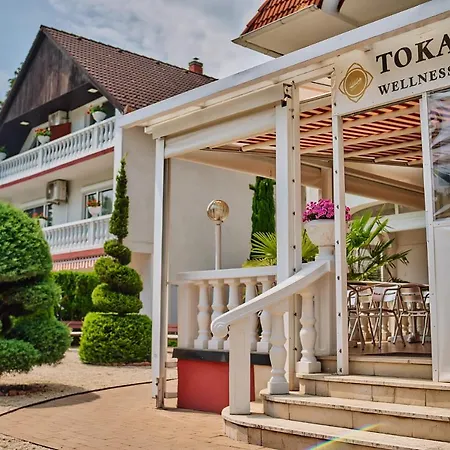 Tokajer Wellness Panzió 3*