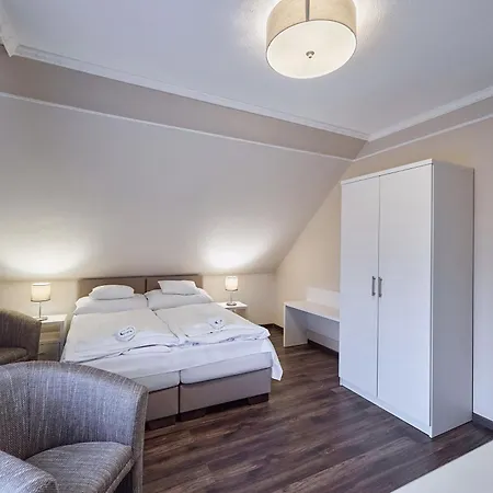 מלון Tokajer Wellness Panzio 3*