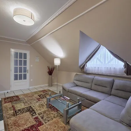 Tokajer Wellness Panzio מלון 3*