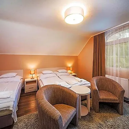 Tokajer Wellness Panzio Hotel