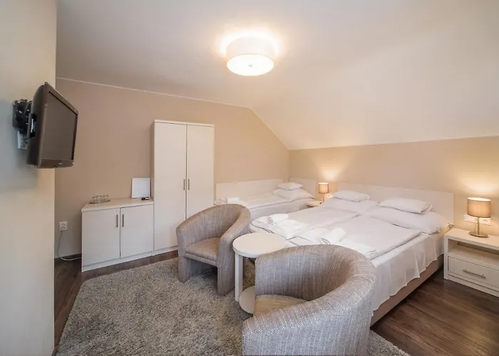 Tokajer Wellness Panzio 3*