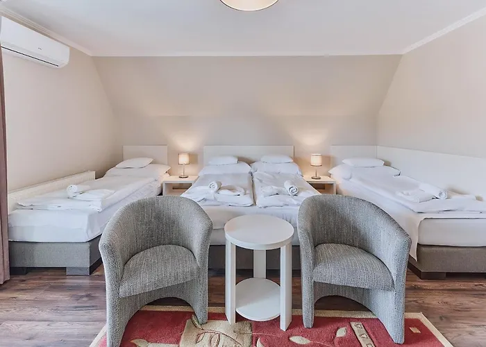 Tokajer Wellness Panzió Hotel 3*