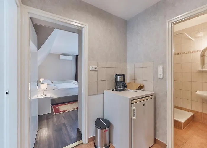 Tokajer Wellness Panzio 3*