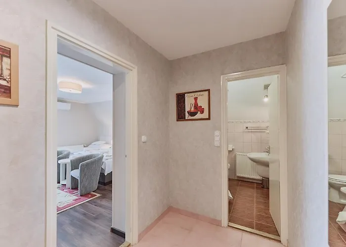 Tokajer Wellness Panzió 3*